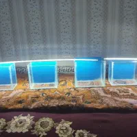 آکواریوم دست ساز