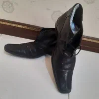 کفش سایز ۴۴