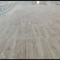 خدمات کفسابی خلیج فارس|خدمات نظافت|بندر ماهشهر, |دیوار