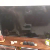 ال ای دی سام|تلویزیون و پروژکتور|پرند, فاز ۱|دیوار