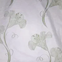 سفره یکبار مصرف|ظروف نگهدارنده، پلاستیکی، یک‌بارمصرف|شهرکرد, |دیوار