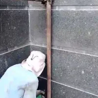 پیچ و رولپلاک تخصصی نما با ضمانت 10ساله