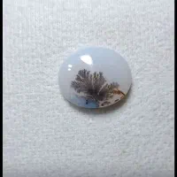 نگین شجر ناب