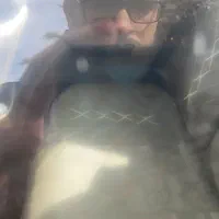 سمند مدل 81|خودرو سواری و وانت|جهرم, |دیوار