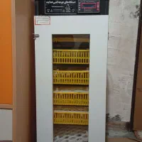 دستگاه جوجه کشی|لوازم جانبی حیوانات|همدان, |دیوار