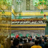 یاضامن آهو|تور و چارتر|زنجان, |دیوار