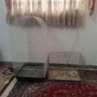 قفس پرنده یدونه بزرگ گنبدی یدونه کوچک