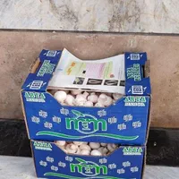 قارچ (از تولید به مصرف)|عمدهفروشی|فردیس, منظریه|دیوار