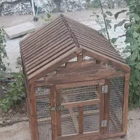 قفس چوبی - جفت کن - کبوتر - لانه حیوان