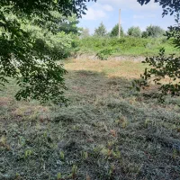 علف زنی|خدمات باغبانی و درختکاری|کومله, |دیوار