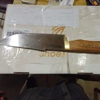 کبوتر|کلکسیون و سرگرمی|ایذه, |دیوار