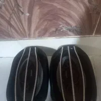 باند پاناتک