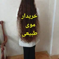 موی بانوان