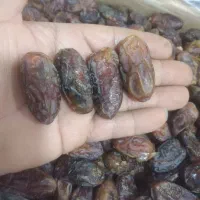 خرمای کبکاب و‌شهابی به قیمت جنوب