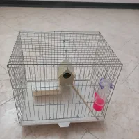 قفس پرنده|لوازم جانبی حیوانات|اصفهان, جلالیه|دیوار