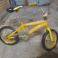 دوچرخه حرفه ایی