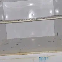 یخچال فریزر آزمایش|یخچال و فریزر|بوشهر, |دیوار