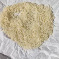 برنج بهنام یا بینام کشت دوم