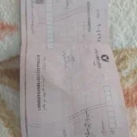 نیازمند ضامن کارمند چک داشته باشه