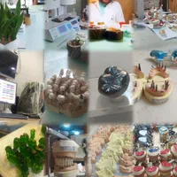 آموزش تخصصی پرسلن دندان(پودرگذاری)|خدمات آموزشی|اصفهان, همدانیان|دیوار