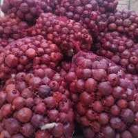 انار خشک عمده