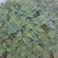 فروش زمین با مجوز ساخت گلخانه
