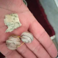 مهره برد