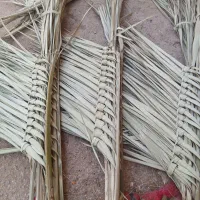 روستایی وعلیه