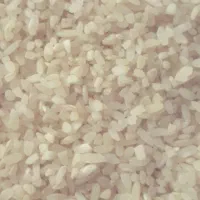 برنج کامفیروزی و فجر نورآبادی|خوردنی و آشامیدنی|شیراز, میانرود|دیوار