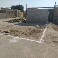 رباط-کریم-کیکاور-دانش-هشتم