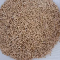 سمنو|خوردنی و آشامیدنی|مشهد, مشکینی (شهرک غرب)|دیوار