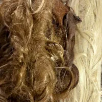 کلیه وسایل آرایشی به قیمت مناسب