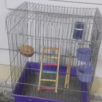 قفس پرنده|لوازم جانبی حیوانات|پاکدشت, شهرک امام رضا|دیوار