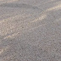 فروش دان ذرت سفید(شلو)|خوردنی و آشامیدنی|سراوان, |دیوار