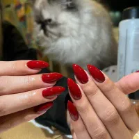 خدمات آرایشگری و زیبایی