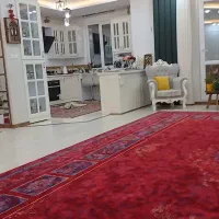 قالی 24 متری فوق العاده تمیز(شرایطی تا 3 ماه باچک)|فرش|مشهد, الهیه|دیوار