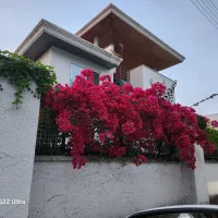 فروش خط تلفن ثابت تهران
