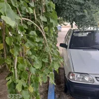 پراید93دوانه سوز کارخانه کپسول 2040دوررنگ شاسی جوش