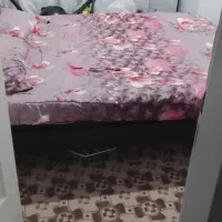 شهریار وحیدیه