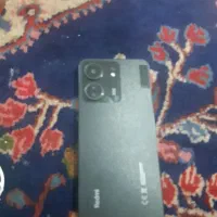 برد شیامی ۱۳ c