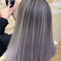 آکادمی دیلا