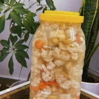 ترشیجات ارگانیک کوهیار|عمدهفروشی|سبزوار, خسروجرد|دیوار