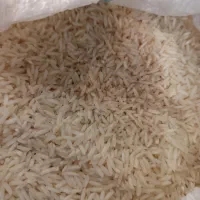 برنج شیرودی