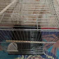 قفس|لوازم جانبی حیوانات|ارومیه, |دیوار