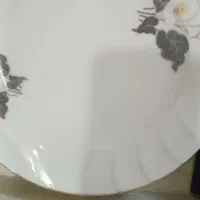 ظروف چینی اصل زرین وکیوم وکارتن|ظروف سرو و پذیرایی|تهران, وحیدیه|دیوار