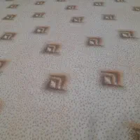موکت خیلی تمیز