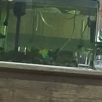 فروش آکواریوم