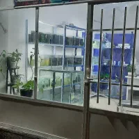 اکواریوم نیلگون