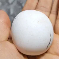 سنگ اسیاب