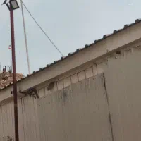 نیازمند نیروی کار